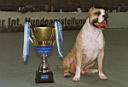 23 - Trouble Pokal 3.jpg